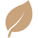 Antioxidant Activity